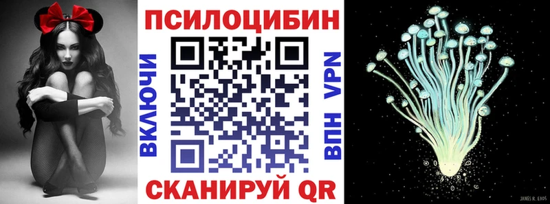 Псилоцибиновые грибы Psilocybe  Рязань 